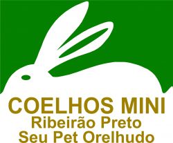 Featured image of post Fotos De Coelhos Preto / A loja mais completa de artigos e acessórios para coelhos e roedores com preços que cabem no seu bolso.