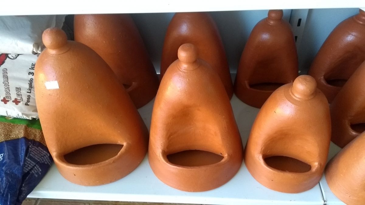 Coelhos Mini Ribeirão Preto Bebedor de Barro Inglês