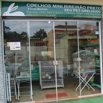Coelhos Mini Ribeirão Preto