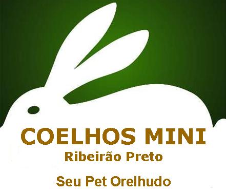 Coelhos Mini Ribeirão Preto